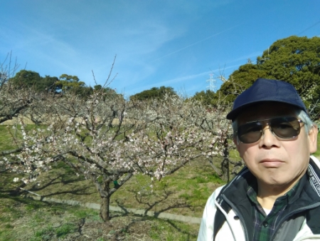 佐布里池梅林公園